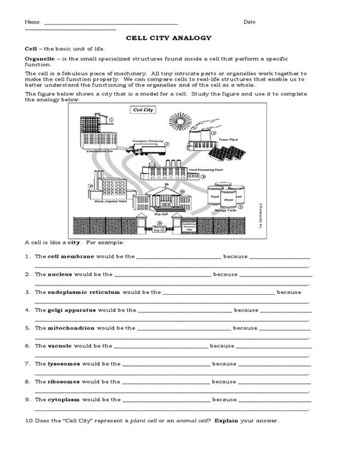 cell city analogy worksheet|Cell Analogy Worksheet .